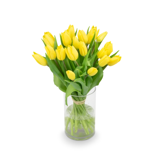 Kytice  tulipánů